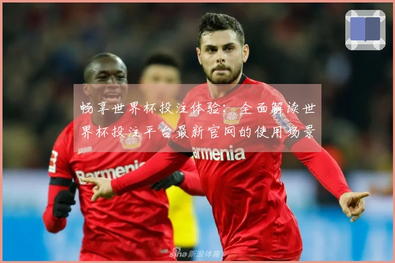 畅享世界杯投注体验：全面解读世界杯投注平台最新官网的使用场景与功能