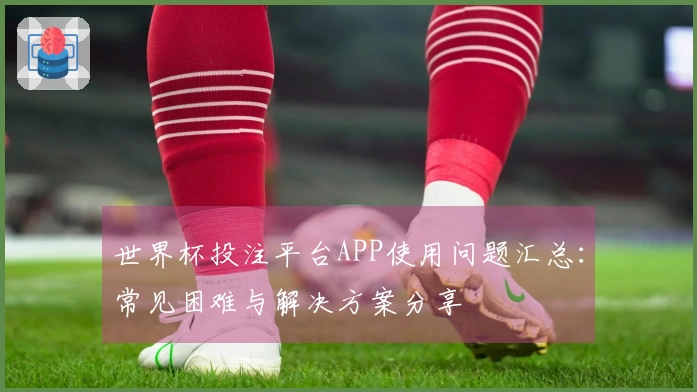 世界杯投注平台APP使用问题汇总：常见困难与解决方案分享