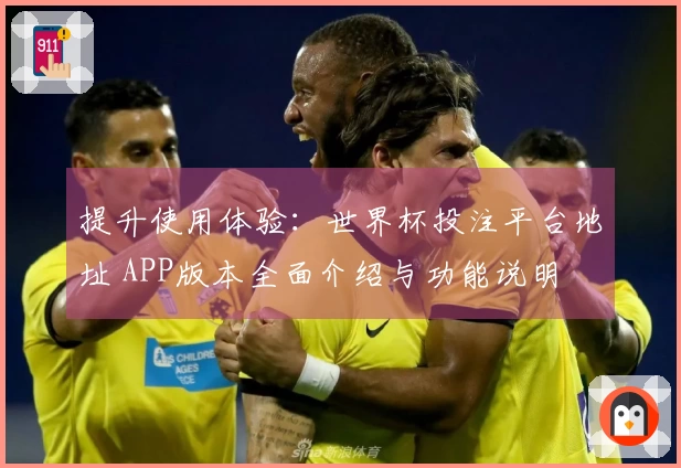 提升使用体验：世界杯投注平台地址 APP版本全面介绍与功能说明